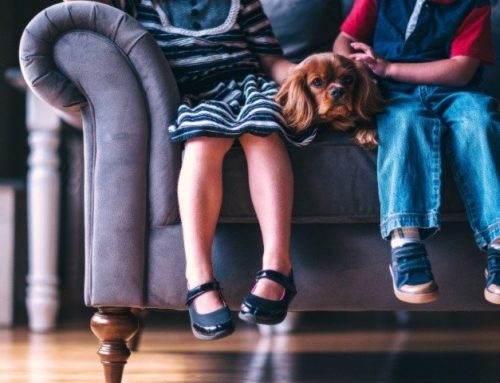 Calzature per bambini: la scarpa giusta per il piede giusto